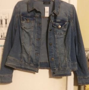 Venezia by Lane Bryant